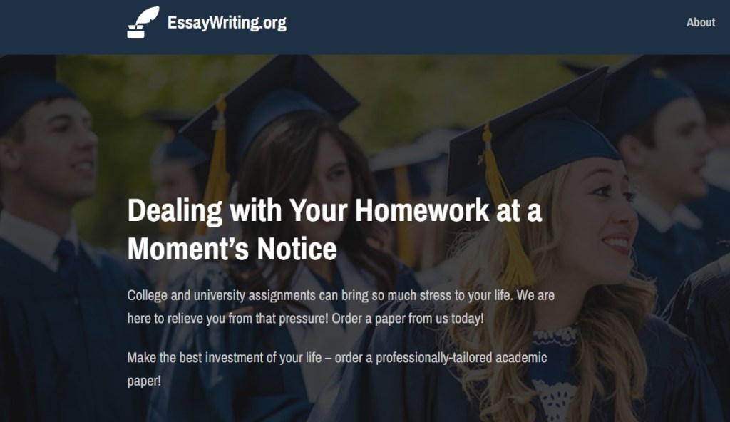 essaywriting.org homepage
